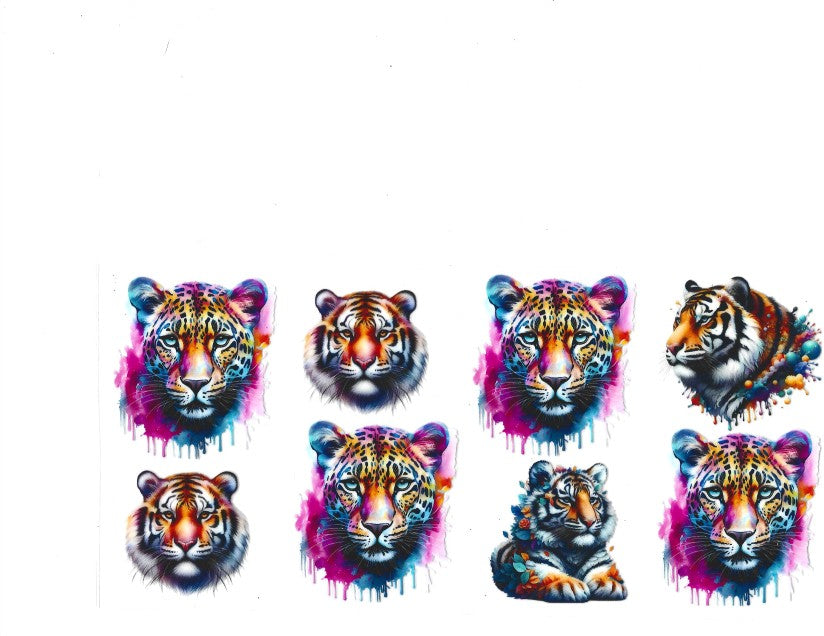 Bright Leopards & Tigers