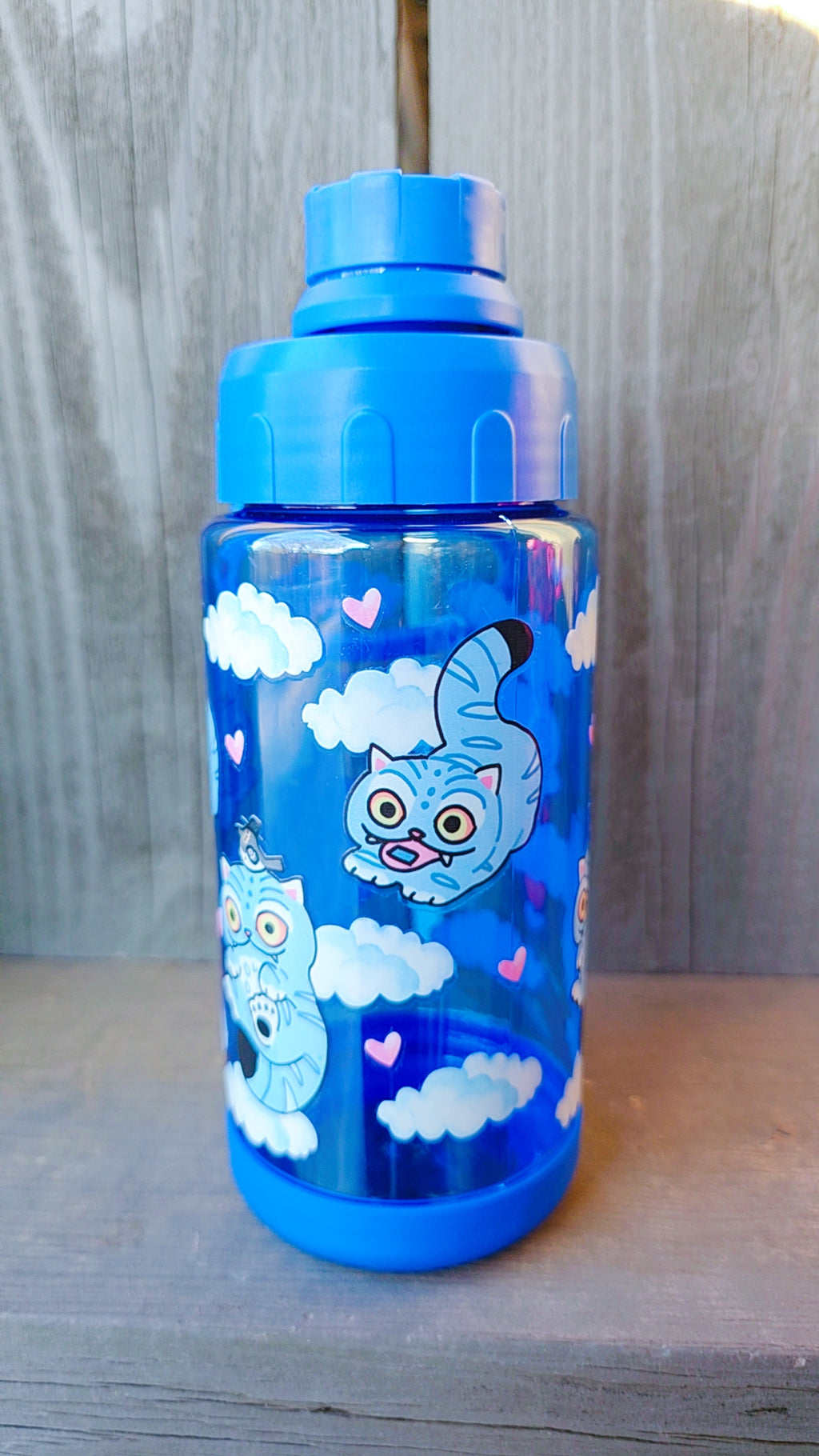 Derpy 16oz Water Bottle