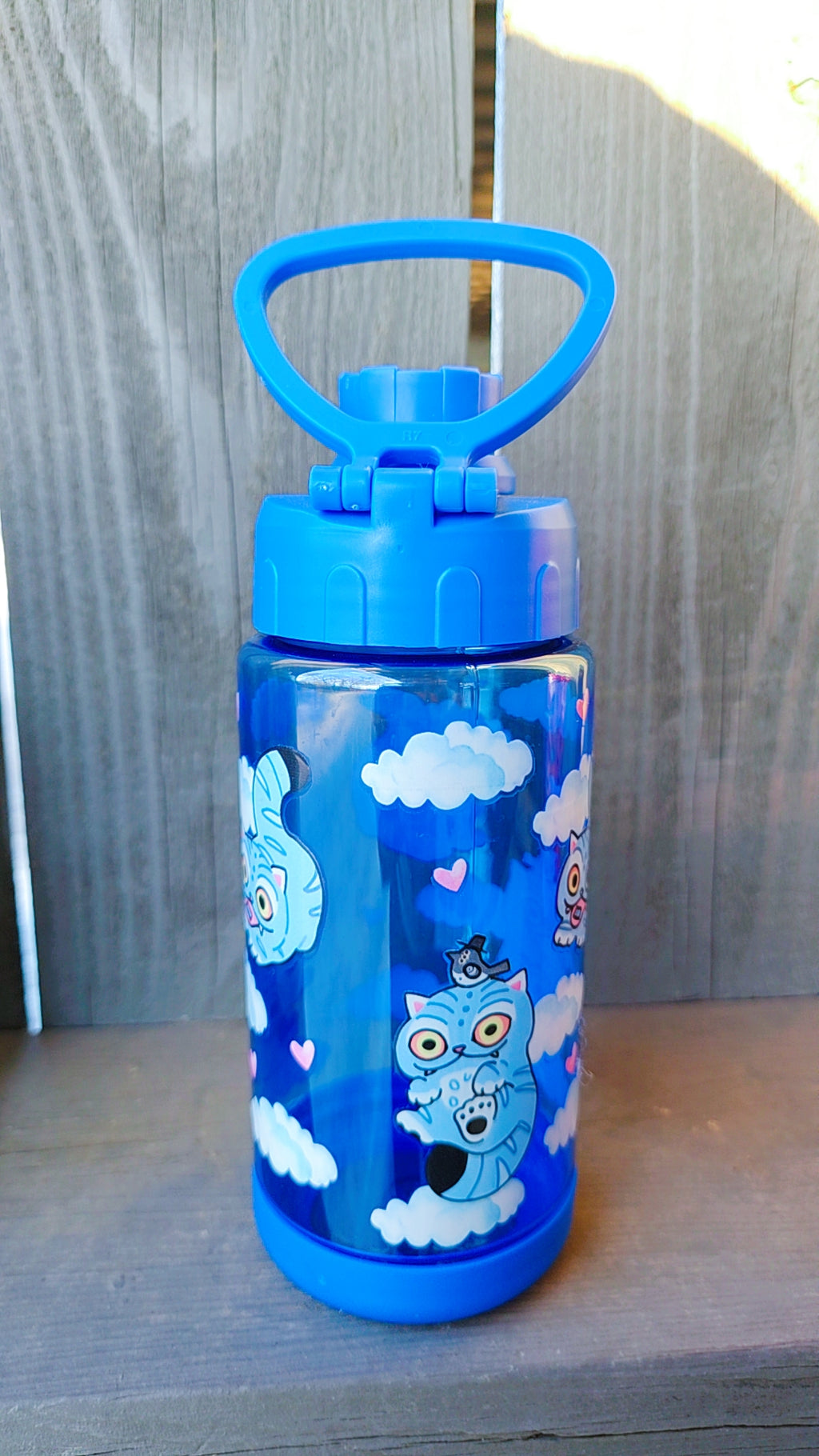 Derpy 16oz Water Bottle