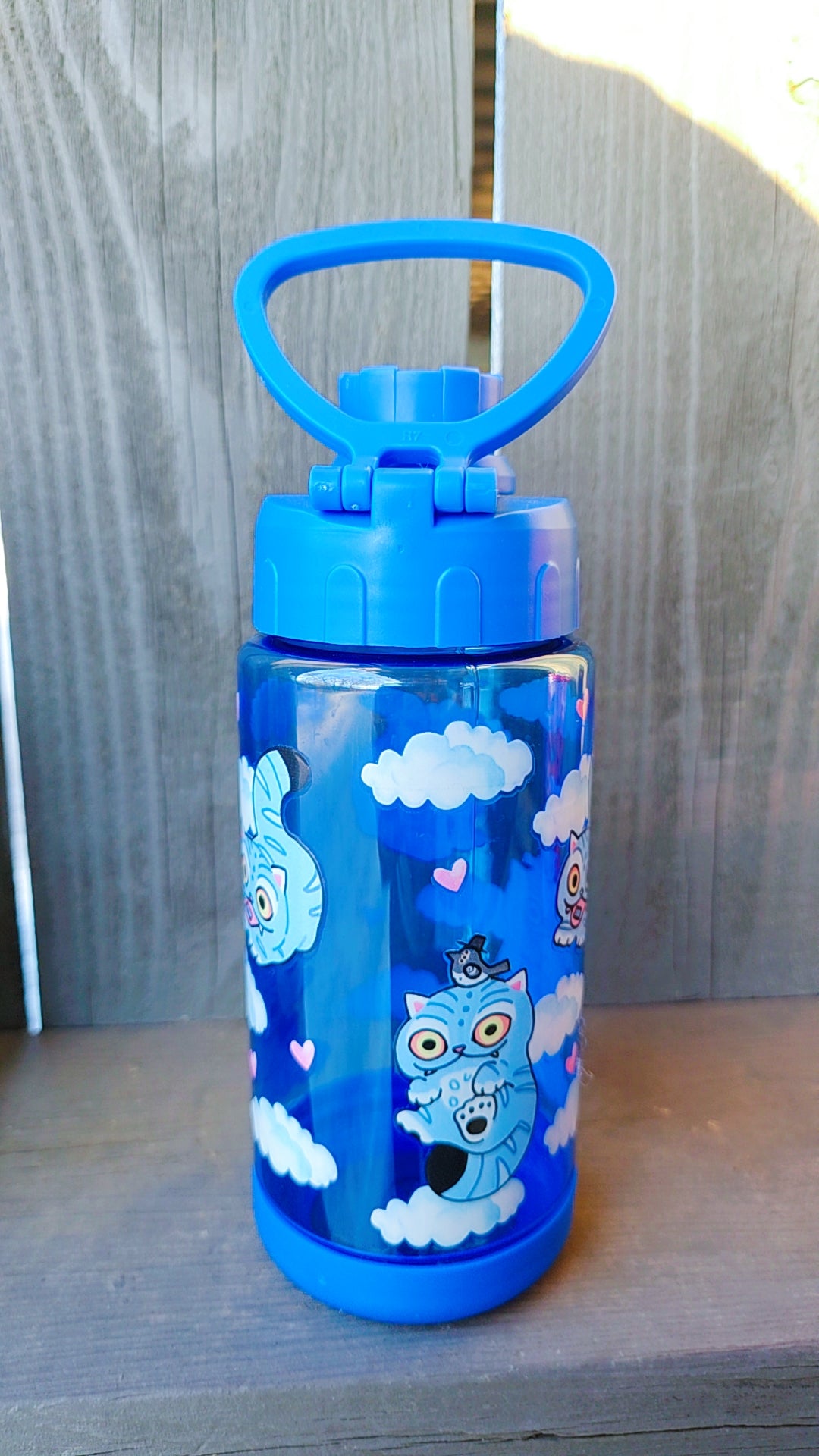 Derpy 16oz Water Bottle